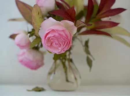 펜션 La Tuilerie Du Paligny