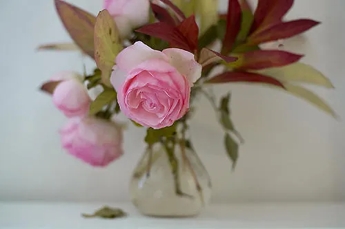 Дом отдыха La Tuilerie Du Paligny